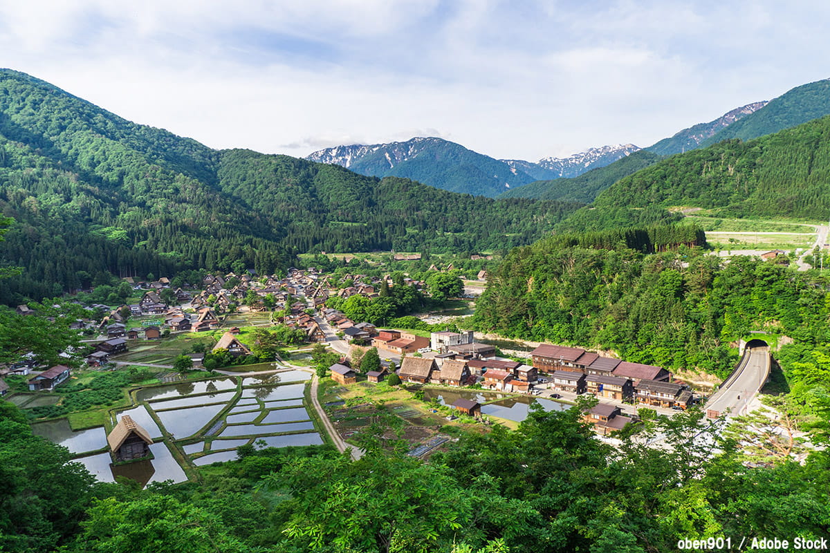 自然共生型社会とは？注目の理由と具体的な取り組みを解説