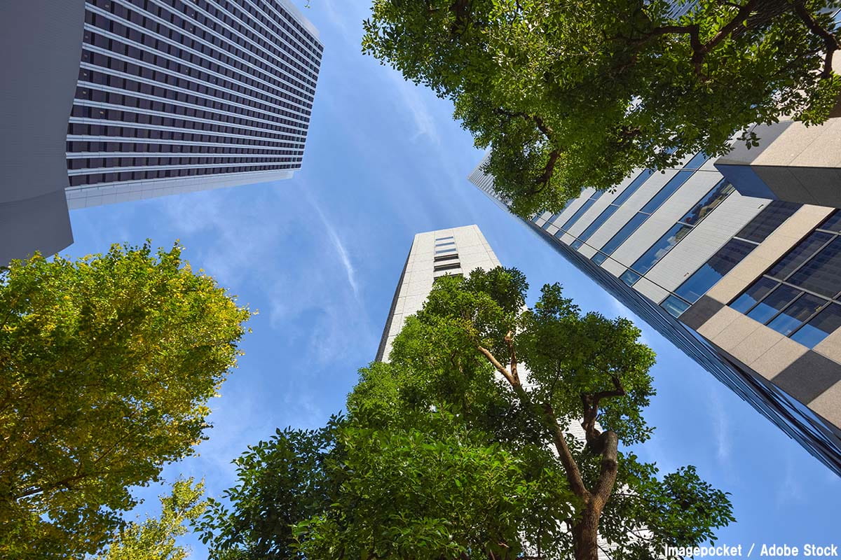 都市緑化とは？植物が街にもたらすメリット・デメリットと課題解決の方法