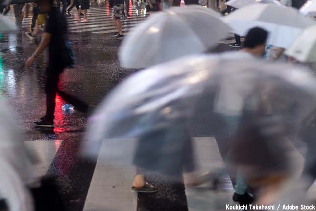 日本はビニール傘の廃棄量が世界一？環境問題に発展する恐れ