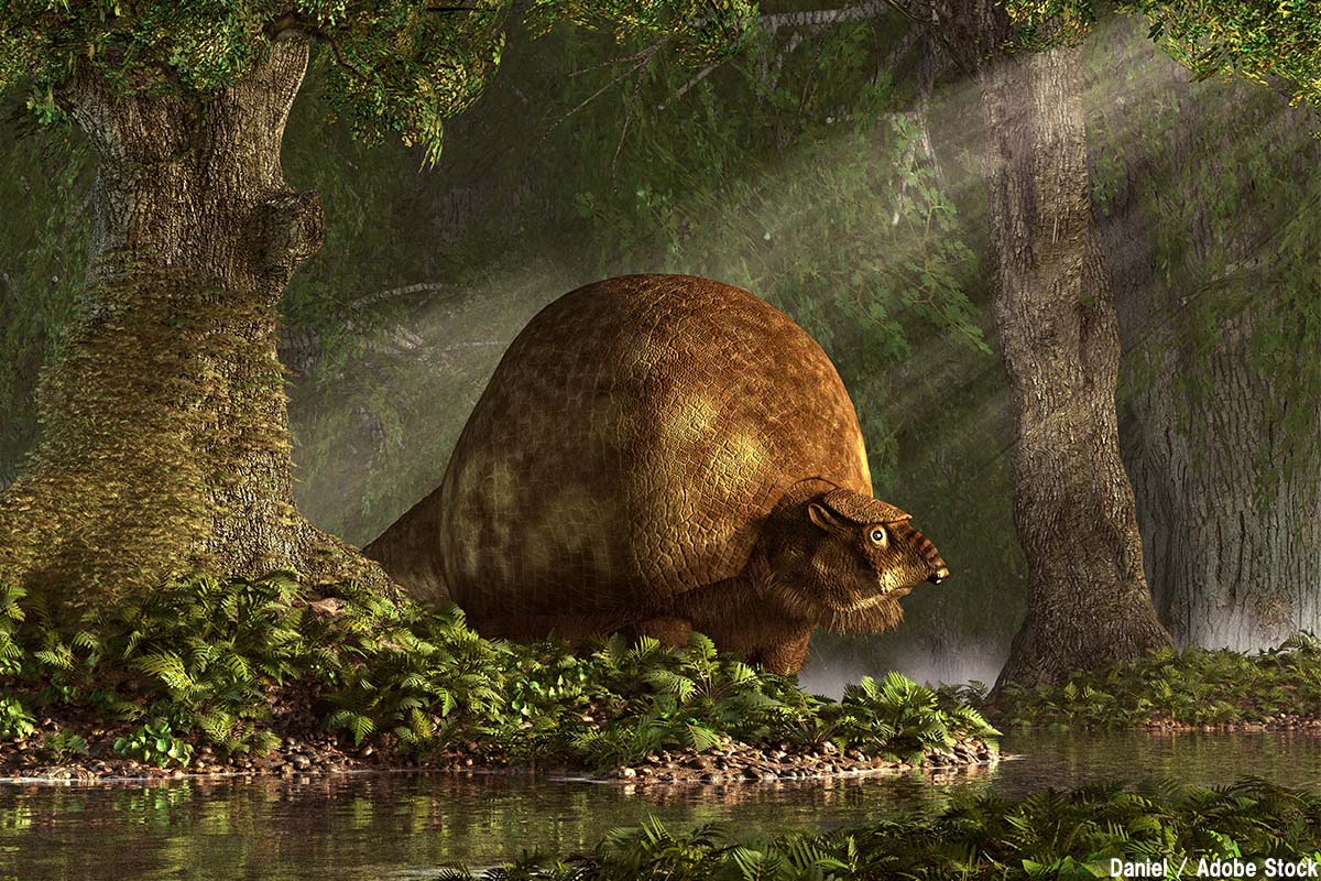 メガファウナとは かつての巨大動物を絶滅させたのは人間か