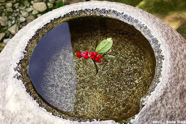 水の節約方法！ちょっとした手間を加えて実践できるエコ