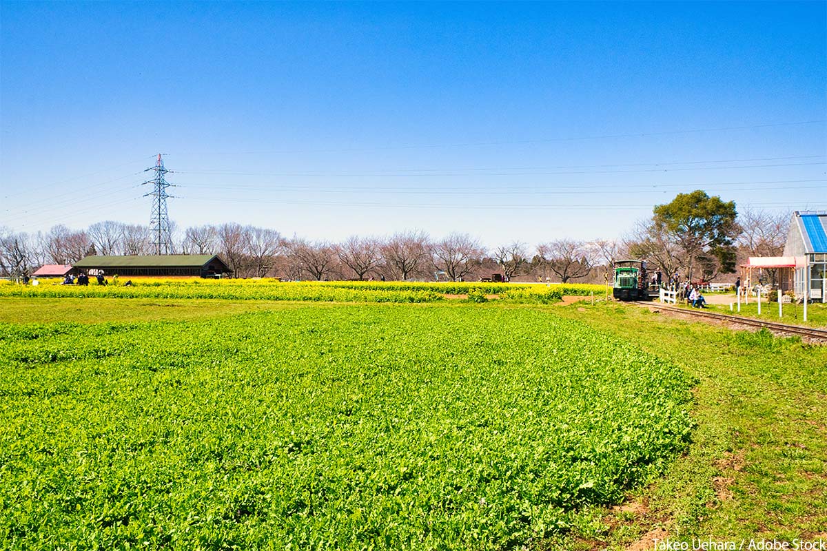 千葉で自然を感じられる観光地「成田ゆめ牧場」