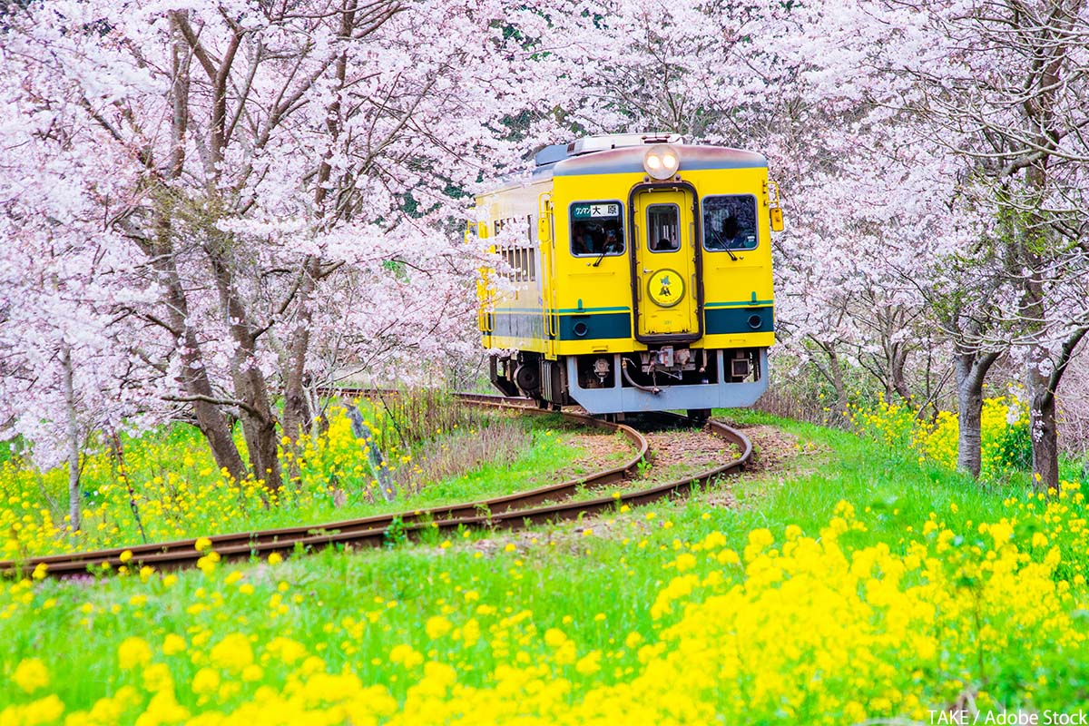 千葉で自然を感じられる観光地「いすみ鉄道」