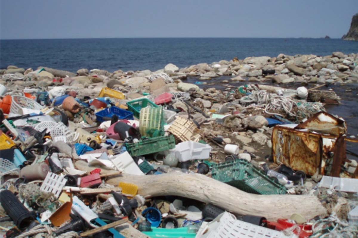 プラスチック社会への提言 30年国際海岸クリーンアップに取り組んできた一般社団法人JEANの事務局長・副代表理事、小島あずさ