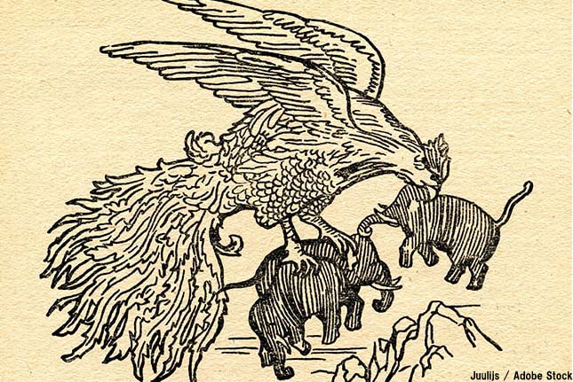 エピオルニスとは 伝説の巨大鳥のモデル 絶滅動物シリーズ