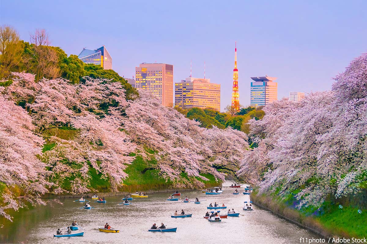 東京のおすすめ公園30選！都内にある憩いの場を紹介