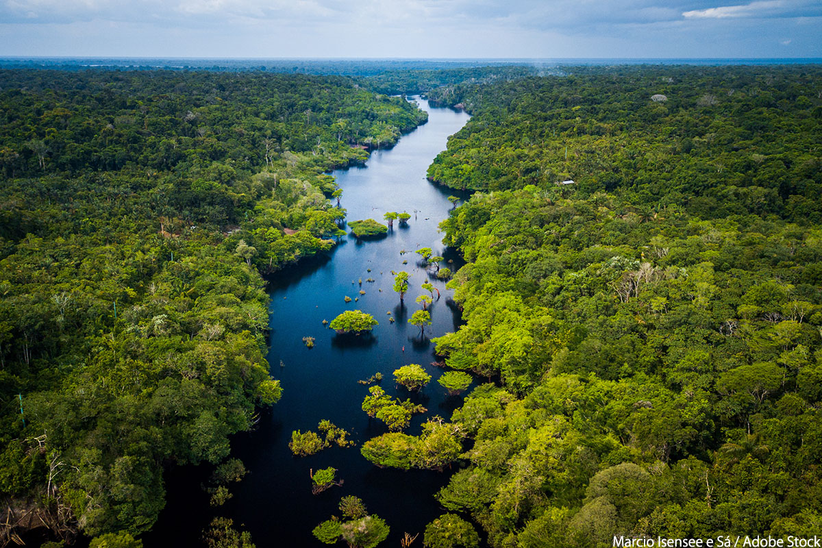 干上がったアマゾン大丈夫？―流域の乾燥化と熱帯林の減少が地球温暖化を加速する
