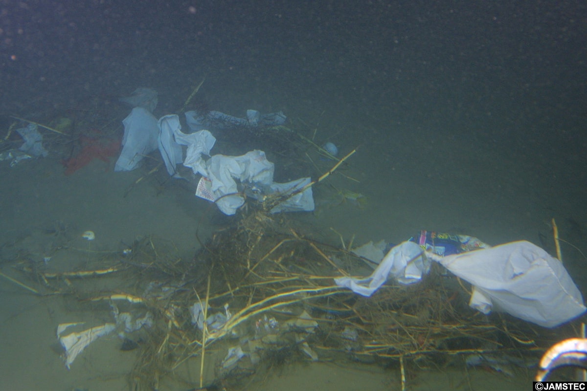 海洋の海面から海底まで、地球規模で分布するマイクロプラスチック。JAMSTECが世界の調査データ集めて分析